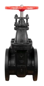 Ductile Iron Non-Rising Stem Gate Valve