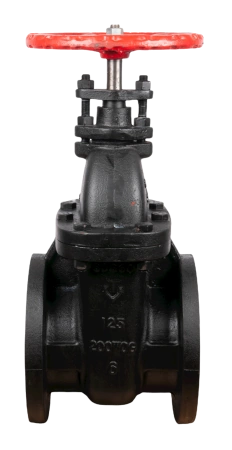 CIGATEVT84125 - CI Gate Valve RS 13CR SS Trim Flanged - 125 - 450_x_232 | Valvetech (Pty) Ltd | Valvetech (Pty) Ltd Ductile Iron Non-Rising Stem Gate Valve
