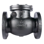 Check Valve