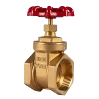 Product: Brass Gate Valve | Valvetech