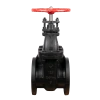 gate valve