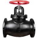 Globe Valve