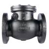 check valve