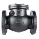 Swing check valve