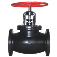 Ductile Iron Globe Valve